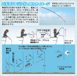 バチコンアジングの釣り方イメージ