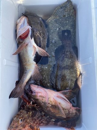 釣果