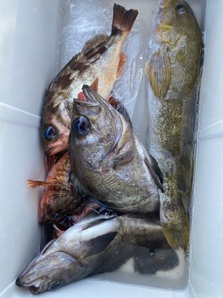 釣果