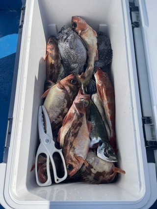 釣果