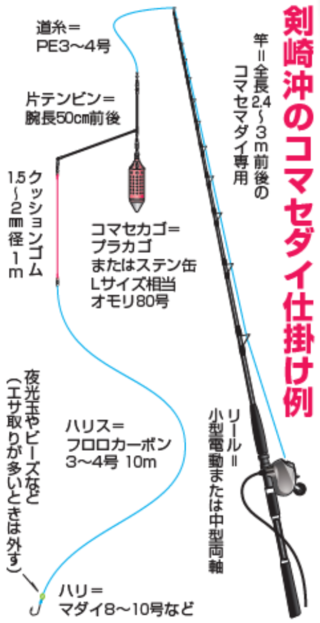剣先沖のコマセダイ仕掛け例