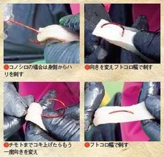 エサ付けの写真