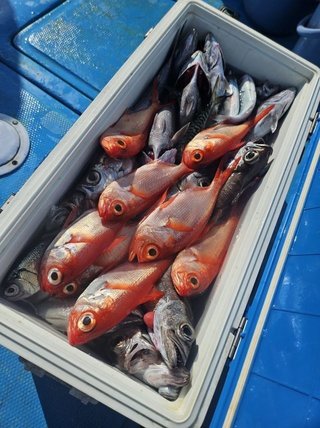 釣果