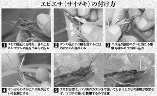 エサの付け方の写真