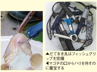 アイテムの写真