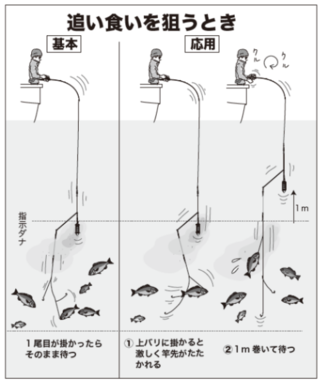 追い食いを狙うとき