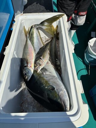 釣果
