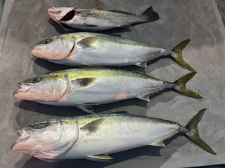 釣果