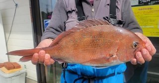 釣果