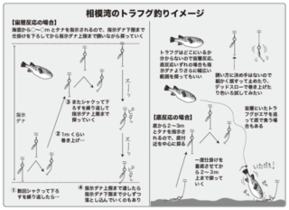 相模湾のトラフグ釣りイメージ