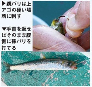 エサの付け方の写真