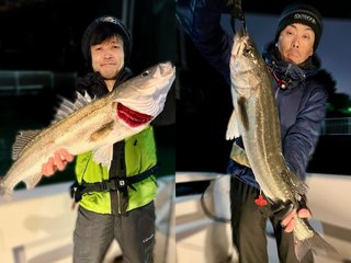 【釣果速報】東京都アップタイドクルーズでシーバスがボコボコHITしてます！68cmの大型もゲット！        