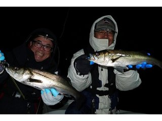 【釣果速報】神奈川県PALLAS FISHING GUIDE SERVICEでメバル、シーバスGET！ダブルヒットもあり！次にシーバスを手にするのはあなただ！