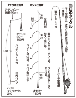 当日のタックル