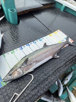 釣果