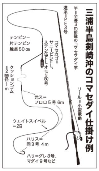 三浦半島剣先沖のコマセダイ仕掛け例
