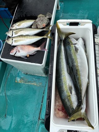 釣果