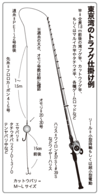 東京湾のトラフグ仕掛け例