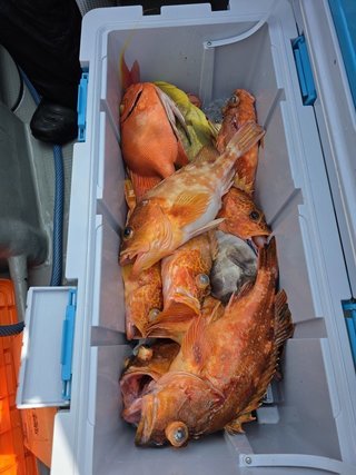 釣果