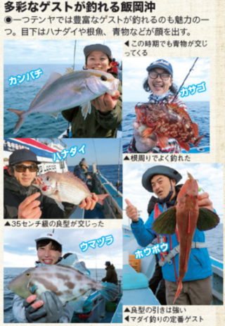 多彩なゲストが釣れる飯岡沖