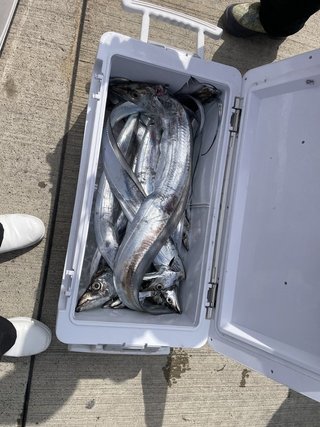 釣果