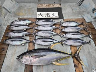 釣果