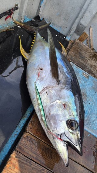釣果