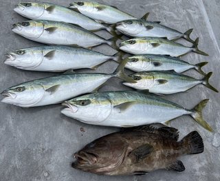 釣果