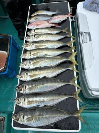 釣果