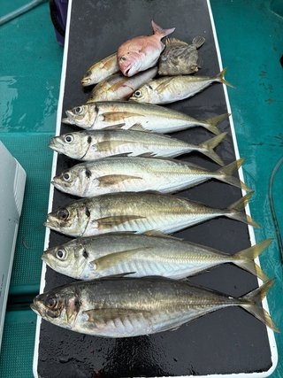 釣果