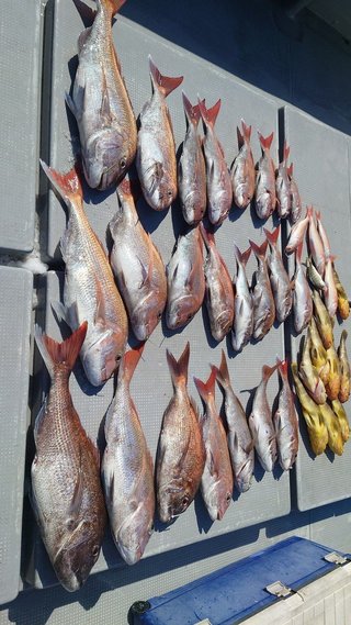 釣果