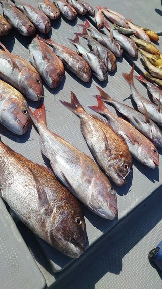 釣果