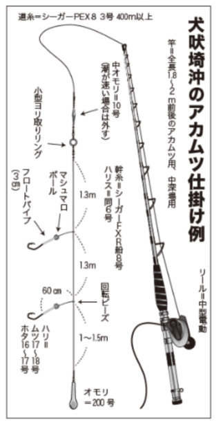 犬吠埼沖のアカムツ仕掛け例