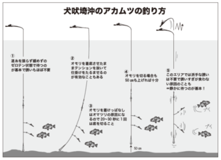 犬吠埼沖のアカムツの釣り方