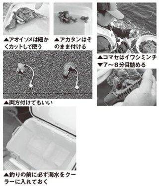 エサなどの写真