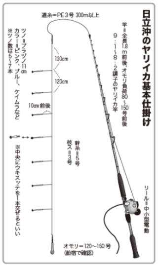 日立沖のヤリイカ基本仕掛け