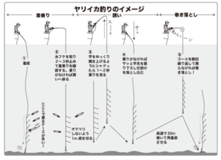 ヤリイカ釣りのイメージ