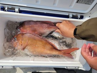 釣果