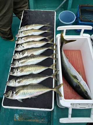 釣果