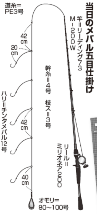 当日のメバル五目仕掛け