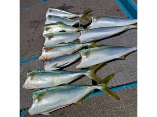 【釣果速報】和歌山県heyheyshipでハマチがテンポ良く上がる！船長がこれから乗船する人にアドバイスを伝授！爆釣したい方は必見！