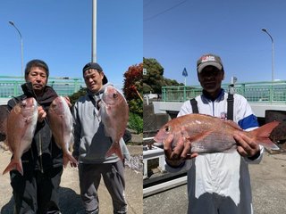 【釣果速報】風にも負けず、マダイ・イサキをゲット！チャレンジするなら静岡県魚磯丸に決まり！