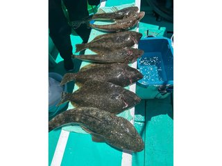 【釣果速報】1kgオーバーの良型ヒラメがヒット！神奈川県邦丸 -金田漁港-でヒラメのアタリを思う存分感じよう！