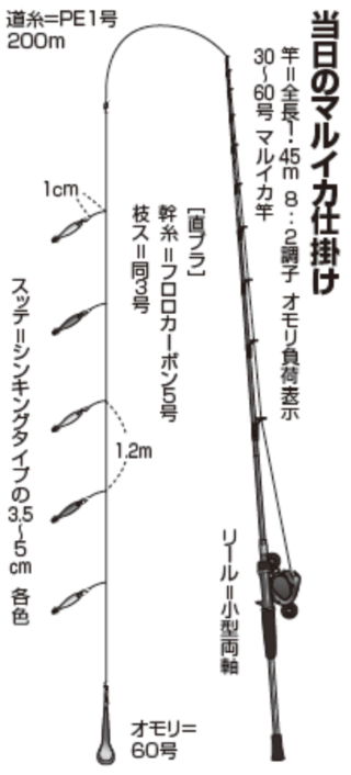 当日のマルイカ仕掛け