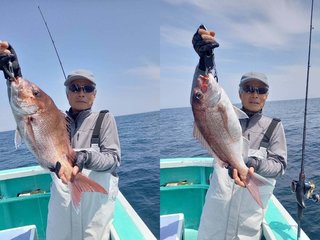 【釣果速報】千葉県富士丸でマダイ絶好調！トップは2.40kg！今後はますます大鯛の数釣りが楽しめるそうですよ！