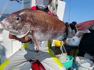 【釣果速報】静岡県天和丸でマダイ・ヘダイ・クロダイと人気魚種続々ゲット！いろいろな魚との出会いを楽しみたい人は即予約を！