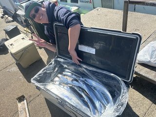 【釣果速報】神奈川県太田屋でメーター級のタチウオGET！MAXは106cm！あなたもドラゴン目指して乗船してみませんか？