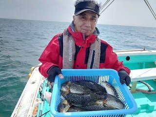 【釣果速報】千葉県利永丸でショウサイフグ好調！40cmのジャンボサイズも上がってます！