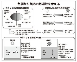 餌木の色選択の図