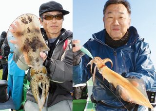 相模湾アオリは大型シーズン　狙いはモンスターサイズだ！